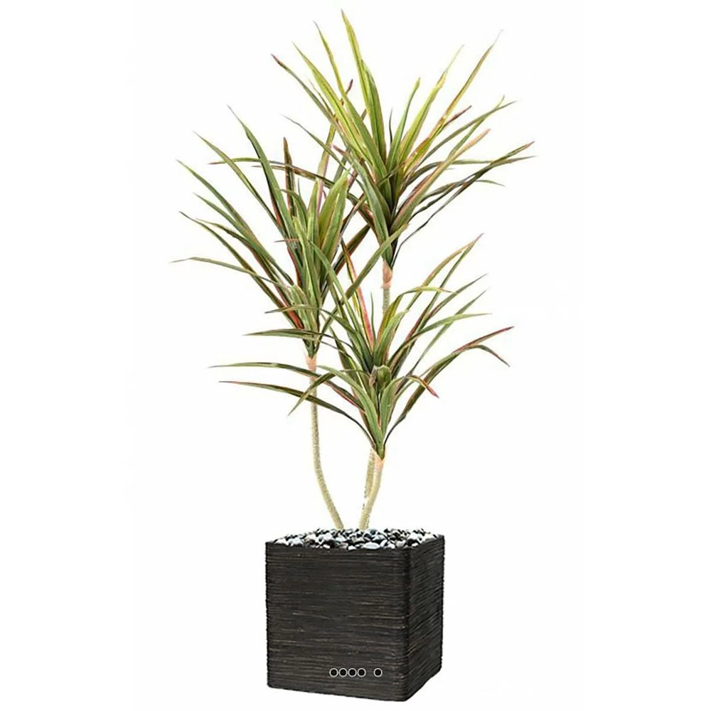 Dracaena Artificiel 3 Troncs En Pot H 140 Cm Vert-rose - Choisissez Votre Hauteu â Image 2