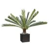 Palmier Cycas Artificiel En Pot H 200 Cm Vert - Choisissez Votre Hauteur: H 200