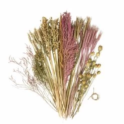 Assortiment De Fleurs Séchées