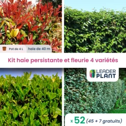 Kit Haie Persistante Et Fleurie - 4 Variétés - Lot De 52 Plants En Pot De 4 L